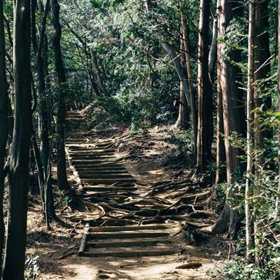 乱武门手游bt版下载